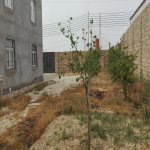 Satılır 8 otaqlı Həyət evi/villa, Binə qəs., Xəzər rayonu 4