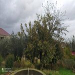 Satılır 3 otaqlı Həyət evi/villa, Mehdiabad, Abşeron rayonu 18