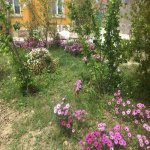 Продажа 4 комнат Дома/Виллы, м. Короглу метро, пос. Маштага, Сабунчу район 11