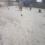Satılır Torpaq, Novxanı, Abşeron rayonu 5