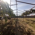 Satılır 3 otaqlı Həyət evi/villa, Sabunçu rayonu 5