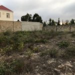 Satılır Torpaq, Novxanı, Abşeron rayonu 5