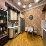 Аренда 4 комнатная Новостройка, м. 28 Мая метро, Зимний парк, Насими район 13