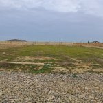 Satılır Torpaq, Saray, Abşeron rayonu 1