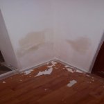 Kirayə (aylıq) 1 otaqlı Ofis, Nizami metrosu, Yasamal qəs., Yasamal rayonu 12