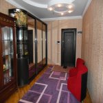 Kirayə (aylıq) 3 otaqlı Yeni Tikili, Nizami metrosu, Nəsimi rayonu 15