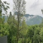 Kirayə (günlük) 3 otaqlı Həyət evi/villa İsmayıllı 18