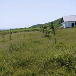 Satılır 4 otaqlı Həyət evi/villa İsmayıllı 7