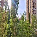 Satılır 2 otaqlı Yeni Tikili, 9-cu mikrorayon, Binəqədi rayonu 10