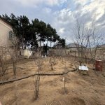 Satılır Torpaq, Mərdəkan, Xəzər rayonu 7