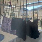 Kirayə (aylıq) 2 otaqlı Yeni Tikili, Qaraçuxur qəs., Suraxanı rayonu 7