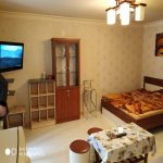 Kirayə (aylıq) 1 otaqlı Köhnə Tikili, 28 May metrosu, Nəsimi rayonu 2