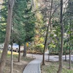 Satılır 2 otaqlı Köhnə Tikili, Azadlıq metrosu, 8-ci mikrorayon, Binəqədi rayonu 17