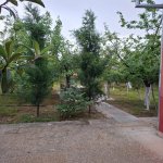 Kirayə (günlük) 3 otaqlı Həyət evi/villa İsmayıllı 4