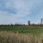 Продажа Участок Хачмаз 110