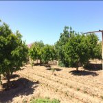 Satılır 9 otaqlı Həyət evi/villa, Bilgəh qəs., Sabunçu rayonu 23
