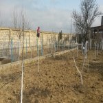 Satılır 2 otaqlı Bağ evi, Masazır, Abşeron rayonu 12