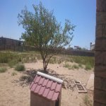 Satılır 1 otaqlı Bağ evi, Pirşağı qəs., Sabunçu rayonu 7