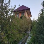 Kirayə (aylıq) 6 otaqlı Bağ evi, Mərdəkan, Xəzər rayonu 12