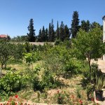 Kirayə (aylıq) 6 otaqlı Bağ evi, Mərdəkan, Xəzər rayonu 4