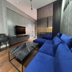 Kirayə (aylıq) 2 otaqlı Yeni Tikili, Xətai metrosu, Xətai rayonu 8