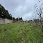 Satılır Torpaq, Mərdəkan, Xəzər rayonu 3
