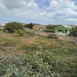 Продажа Участок, Новханы, Абшерон район 3