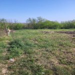 Satılır Torpaq Quba 2