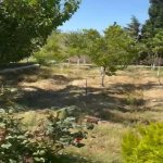 Satılır 6 otaqlı Bağ evi, Novxanı, Abşeron rayonu 23