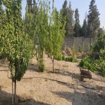 Satılır Torpaq, Novxanı, Abşeron rayonu 9