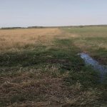 Продажа Участок Бярдя 4