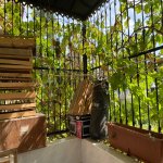 Satılır 4 otaqlı Köhnə Tikili, Neftçilər metrosu, Bakıxanov qəs., Sabunçu rayonu 13