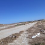 Satılır Torpaq, Saray, Abşeron rayonu 1