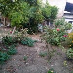Satılır Torpaq, Qaraçuxur qəs., Suraxanı rayonu 1