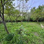 Продажа 3 комнат Дома/Виллы Исмаиллы 4