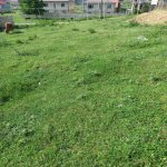 Satılır Torpaq Quba 2