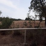 Satılır Torpaq Xaçmaz / Nabran 5