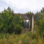 Продажа 1 комнатная Дача, пос. Гобустан, Гарадаг район 23