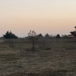 Satılır Torpaq, Nardaran qəs., Sabunçu rayonu 3