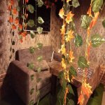 Kirayə (aylıq) Obyekt, Gənclik metrosu, Nərimanov rayonu 5