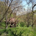Satılır 3 otaqlı Həyət evi/villa İsmayıllı 22