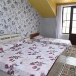 Kirayə (günlük) 5 otaqlı Həyət evi/villa Şəki 3
