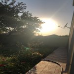 Satılır 7 otaqlı Həyət evi/villa Naxçıvan MR 19