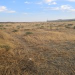 Продажа Участок, Сарай, Абшерон район 6