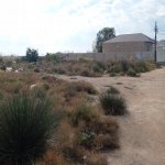 Satılır Torpaq, Suraxanı rayonu 1