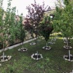 Satılır 5 otaqlı Həyət evi/villa, Bilgəh qəs., Sabunçu rayonu 33