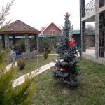 Kirayə (günlük) 5 otaqlı Həyət evi/villa Qəbələ 12