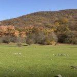 Satılır Torpaq Oğuz 3