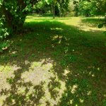 Продажа Участок Гябяля 7