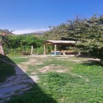 Kirayə (günlük) 3 otaqlı Həyət evi/villa Qax 2